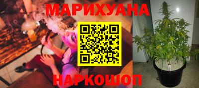 мяу мяу мука Будённовск