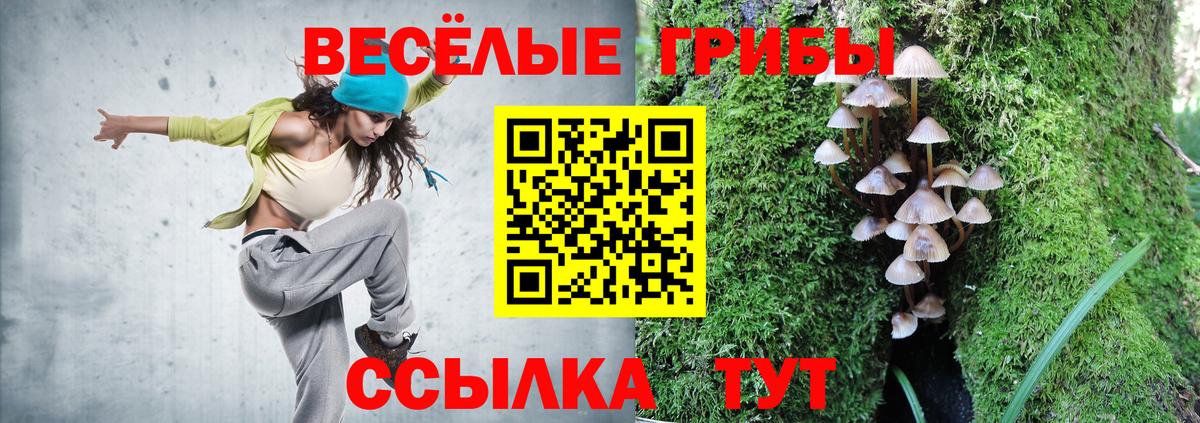Псилоцибиновые грибы MAGIC MUSHROOMS  Вход с VPN  Кропоткин 