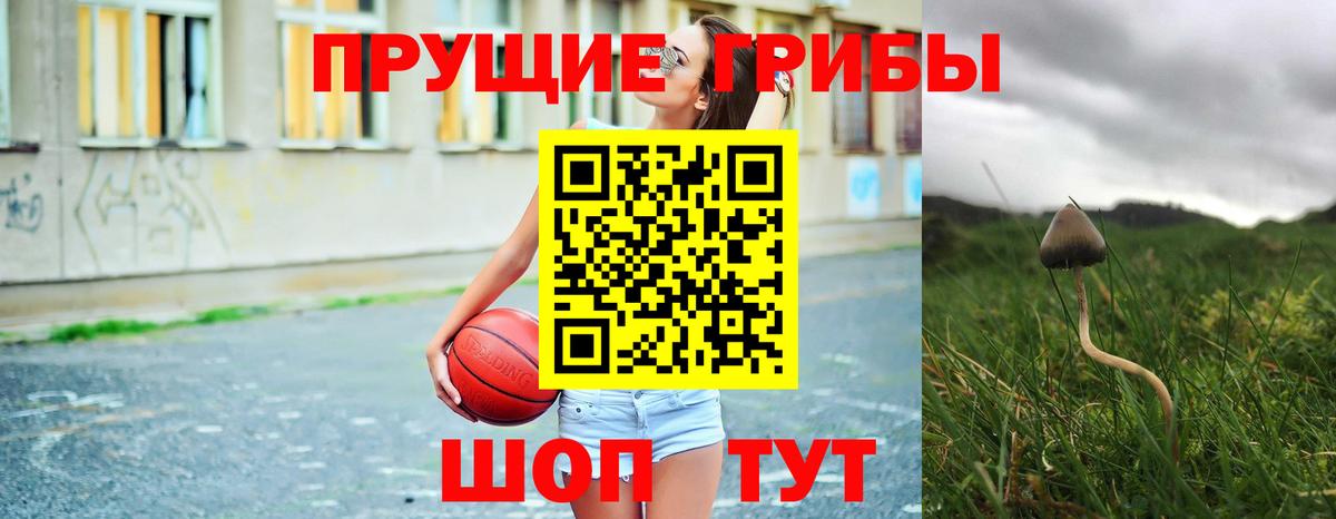 Галлюциногенные грибы мицелий Кропоткин